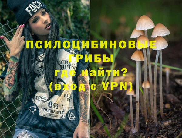 трава Бронницы