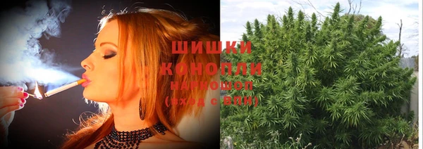 трава Бронницы